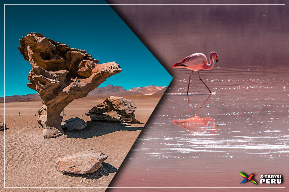 -tour-salar-de-uyuni