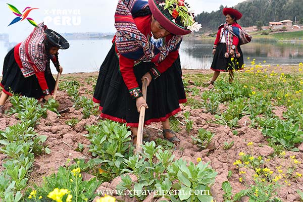 Agricultura en Cuper Bajo