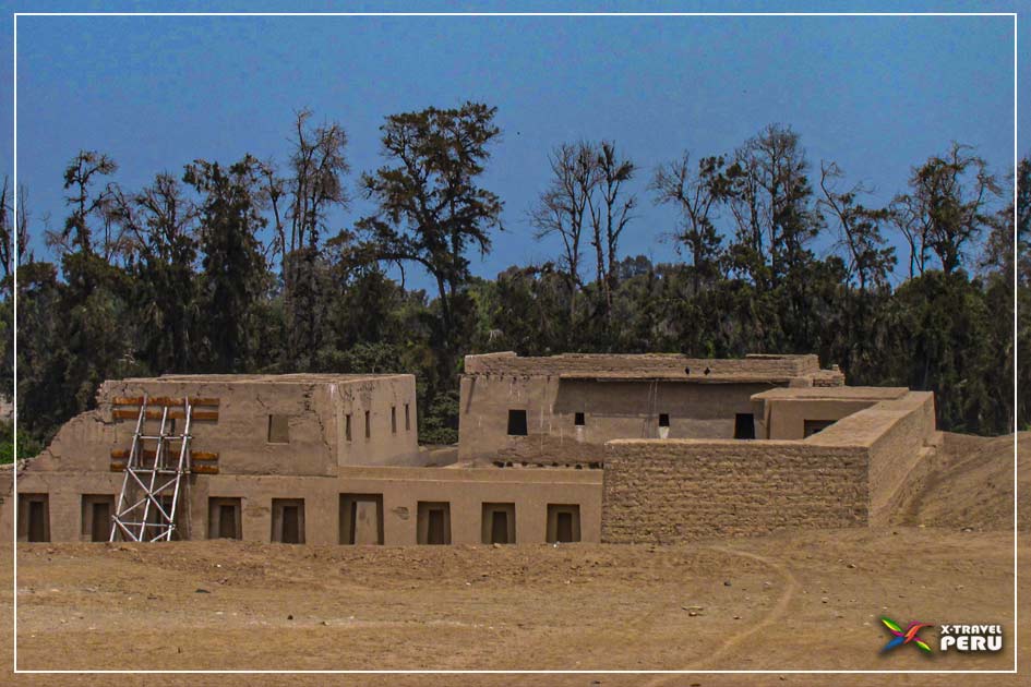 Pachacamac caballos de paso