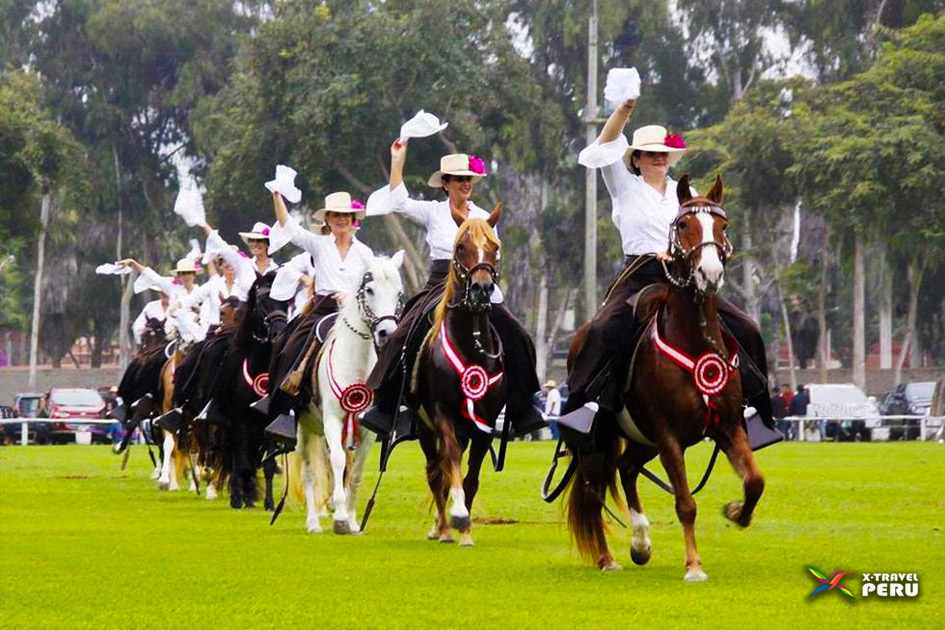 Caballos de paso