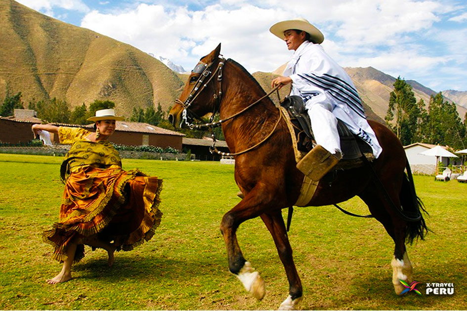 cena show y Caballo de Paso