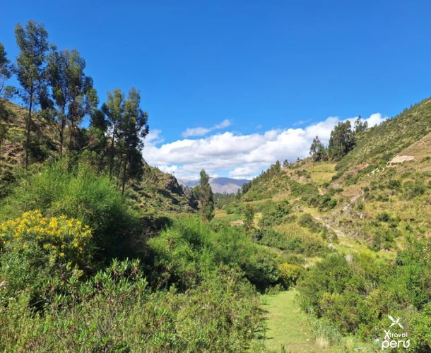 Explore the natural beauty of Yuncaypata. The ideal terrain for mountain biking, with green trails winding through hills under a clear Andean sky.