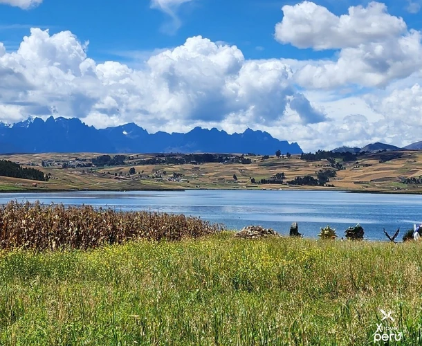 The natural richness of the Andes surrounds you. Cycle along rustic paths near the water, observing the local flora and fauna. A revitalizing half-day getaway.