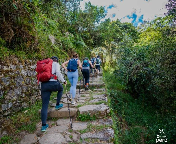 Olvídate del camino tradicional y toma la ruta que pocos conocen. En este tour 2D/1N, recorrerás la selva alta, cruzarás ríos y llegarás a Machu Picchu con otra mirada. ¡Auténtico, salvaje y emocionante!
