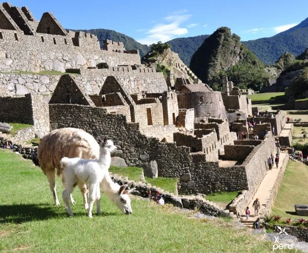 Uma aventura VIP de 2 dias em Machu Picchu para se conectar com a história e a magia inca.