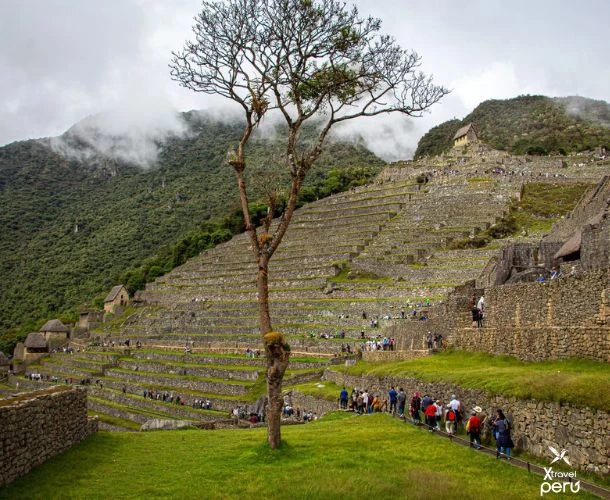 Tour exclusivo: 2 dias e 1 noite em Machu Picchu para conhecer o santuário inca como nunca antes.