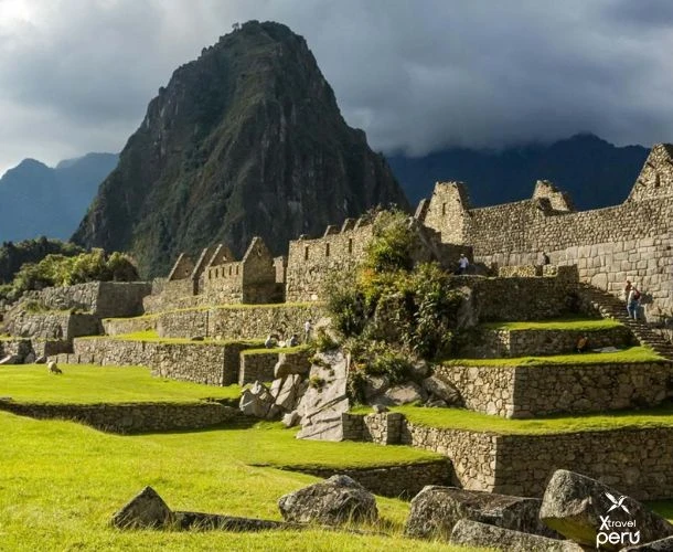 Vive una experiencia única entre cafetales, montañas y ruinas incas. Una travesía de 2 días donde conocerás el proceso del café artesanal antes de maravillarte con Machu Picchu. ¡Auténtico y sabroso!