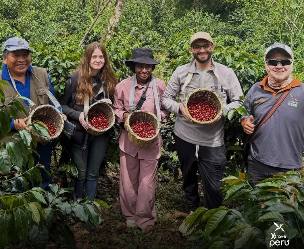Convive con familias locales, aprende a tostar tu propio café y termina tu travesía contemplando Machu Picchu. Una experiencia cercana, auténtica y fuera del turismo masivo.