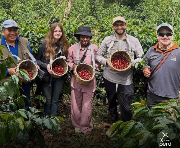 Embárcate en la Ruta del Café, Té y Chocolate y despierta tus sentidos. Visita plantaciones locales, degusta productos artesanales y conecta con los aromas de la selva alta. ¡Una experiencia deliciosa y cultural!