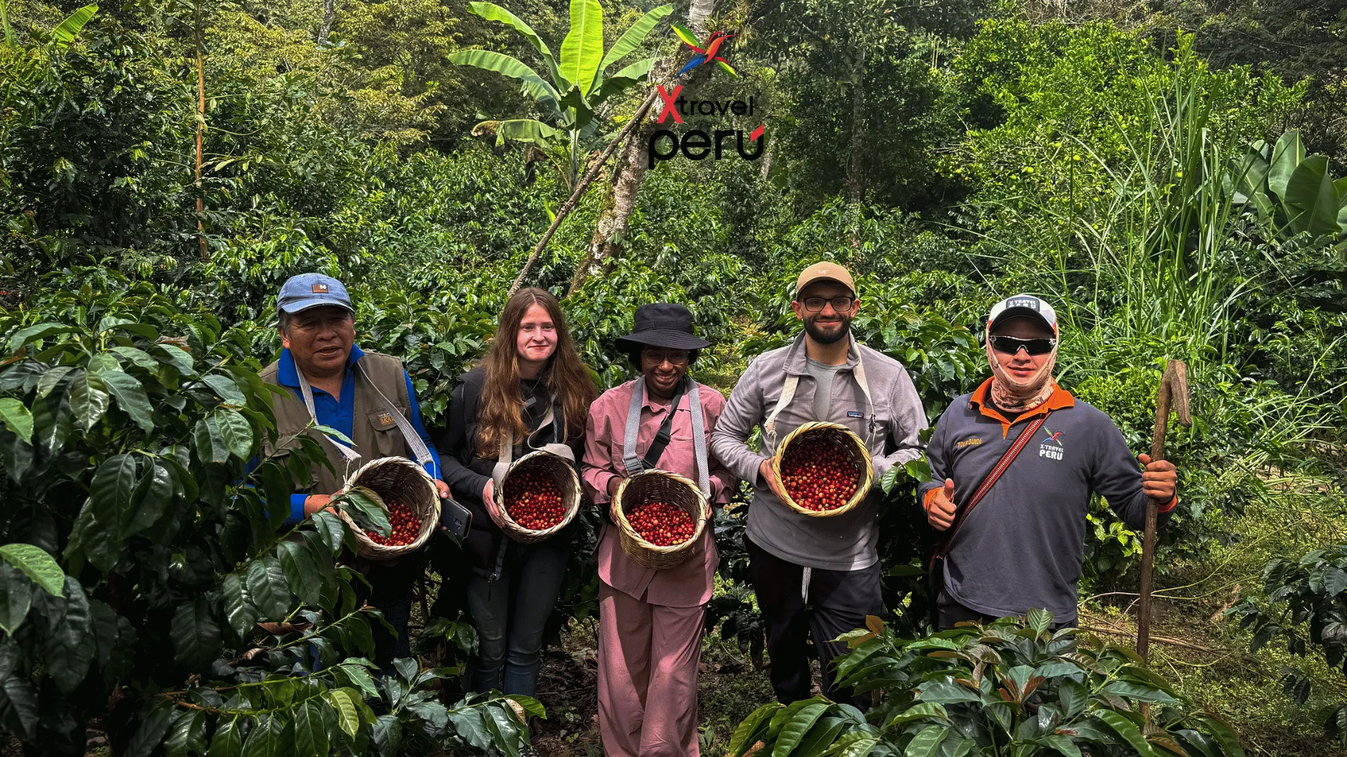 Coffee, Tea, and Chocolate Route 2D/1N - XTravel Peru