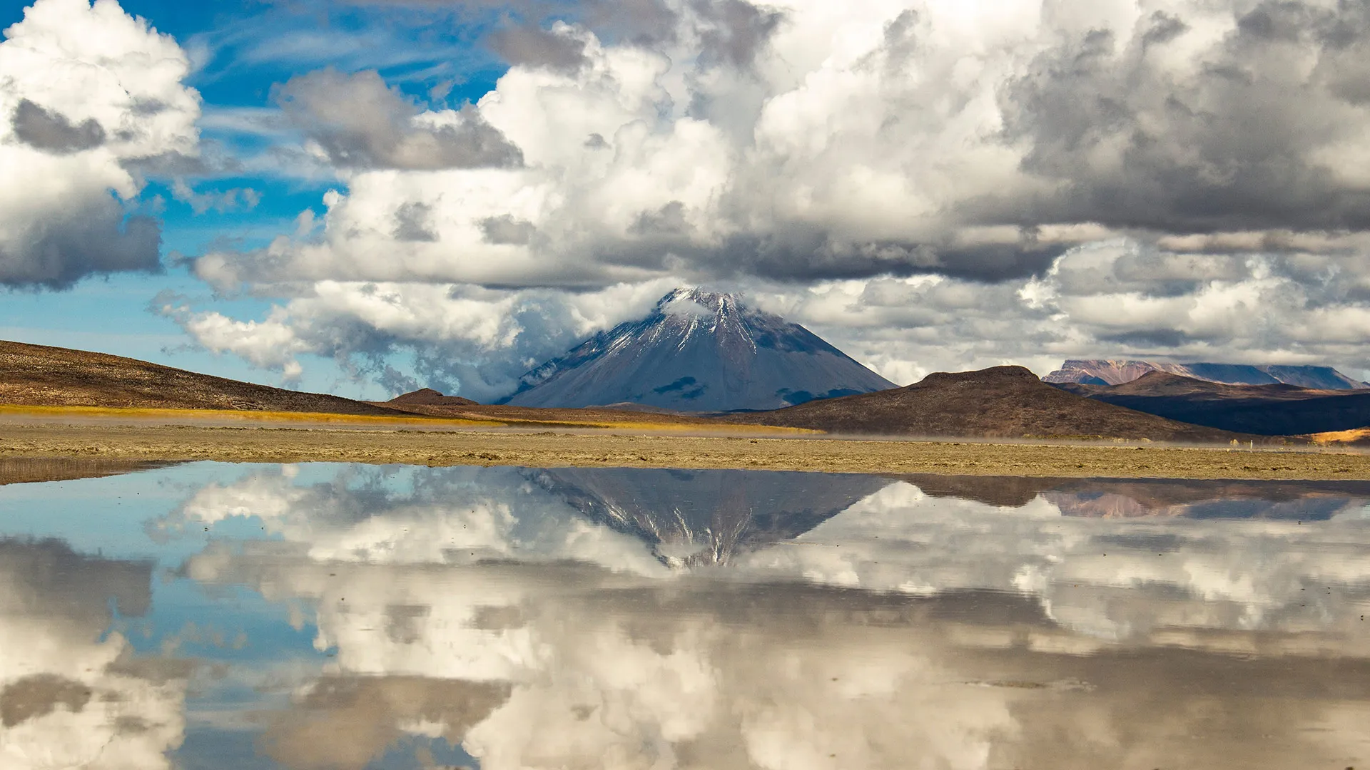 Tour a la Laguna de Salinas desde Arequipa – Reserva Nacional Salinas - XTravel Perú