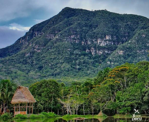 Alto Mayo is not told, it is lived: walk through its jungle, feel its mist and connect with the essence of the tropical forest.