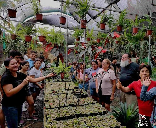 Immerse yourself in the beauty of Alto Mayo: coffee plantations, orchids, reserves, and villages with an ecological soul.