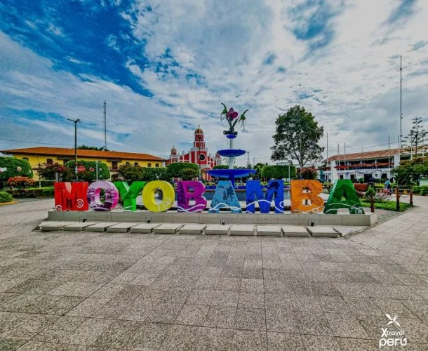 Alto Mayo awaits you with verdant landscapes, fresh air, and vibrant culture. Discover its biodiversity in a unique Amazonian experience.
