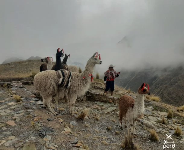 Live an authentic experience in Ancasmarca, among ancient colcas and inspiring landscapes.
