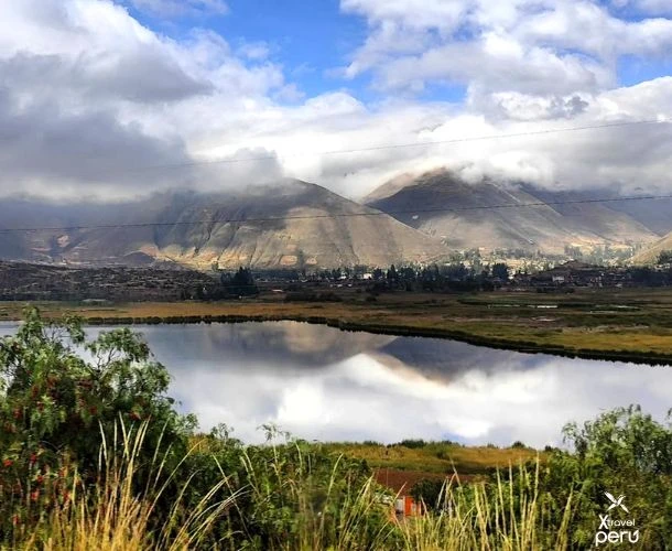 ¡Huacarpay es un concierto de alas y colores! Descubre la biodiversidad andina en un tour lleno de paz, naturaleza y observación.