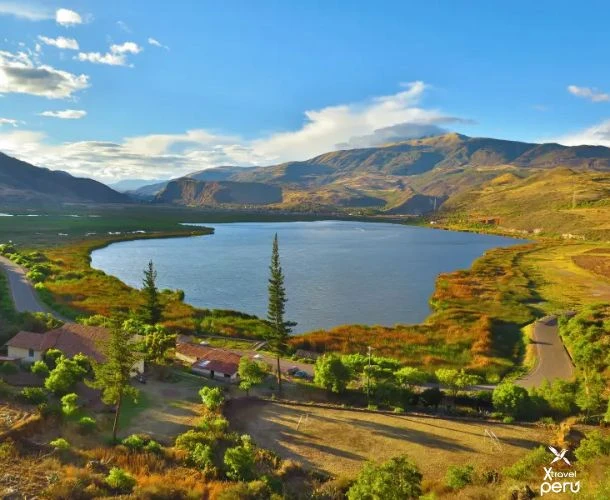 ¡Despierta temprano y vuela con ellos! Huacarpay te espera con colores, cantos y aves únicas en un paraíso natural cerca de Cusco