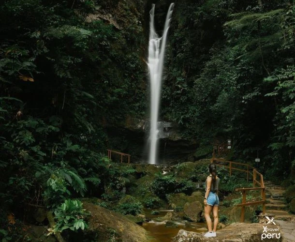 Immerse yourself in the crystal-clear waters of Ahuashiyacu, surrounded by vibrant greenery, birdsong, and the Amazonian energy.