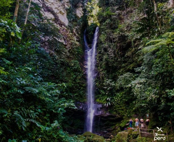 Escape to the jungle and be amazed by Ahuashiyacu, Tarapoto's most iconic waterfall. Pure nature at every turn.