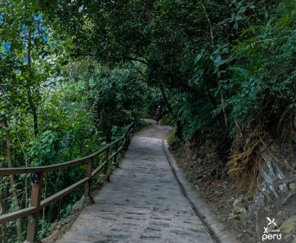 Feel the energy of the jungle and the power of the Gocta waterfall on a tour that combines adventure, culture, and unforgettable landscapes.