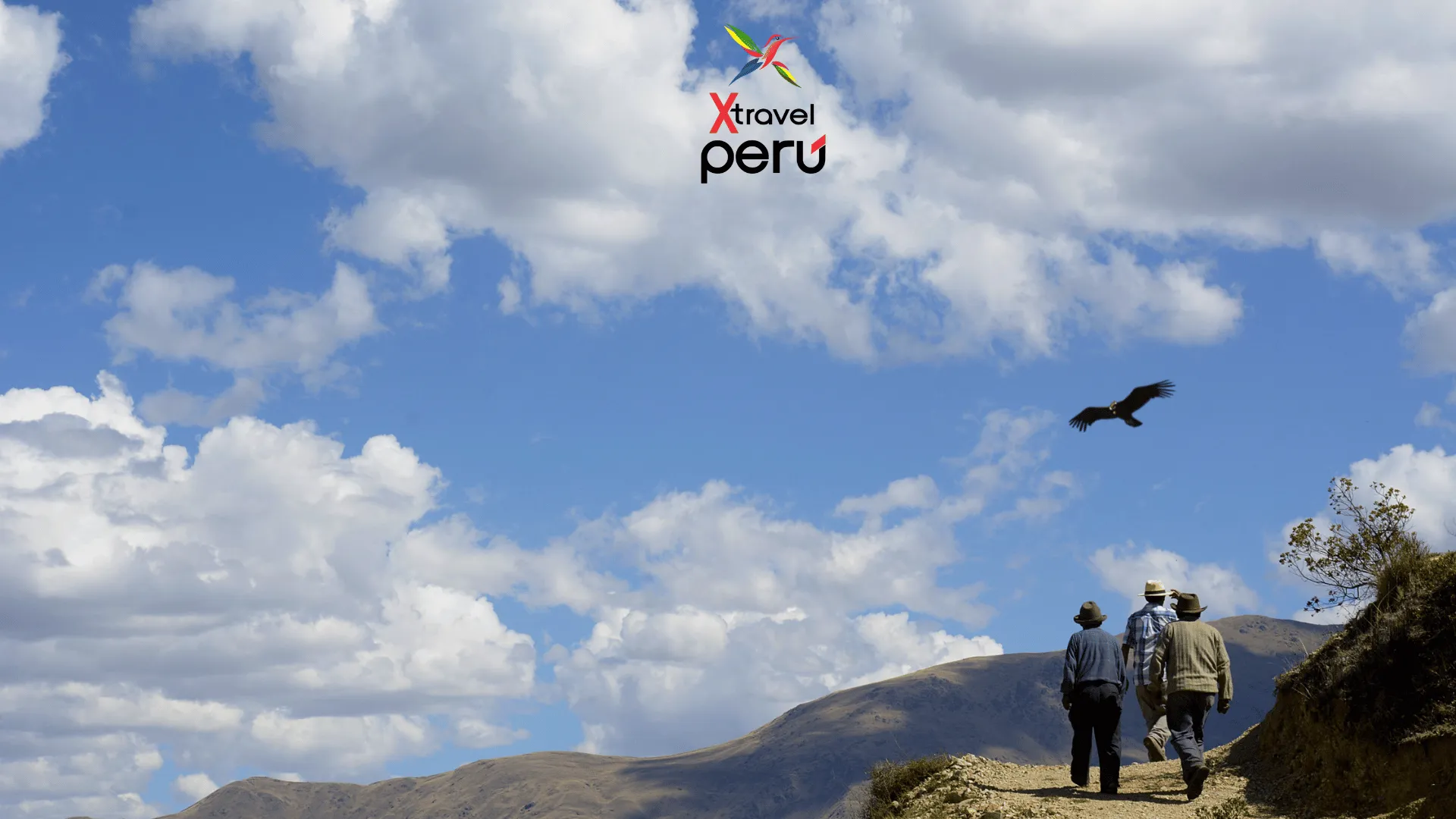 Condor Viewpoint Tour in Cusco and Chonta Canyon - XTravel Peru