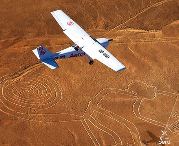 Discover the millenary Nazca Lines from the only possible perspective: the air. Gaze upon the Hummingbird and other geoglyphs during an exciting scenic flight.