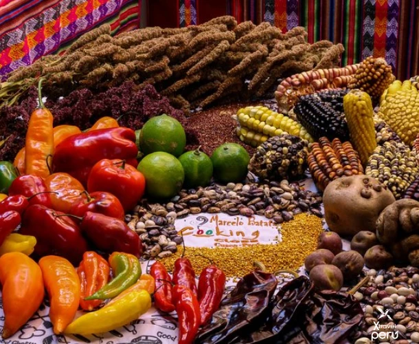 Discover the secrets of Peruvian cuisine and savor your own traditional lunch in an unforgettable culinary experience!