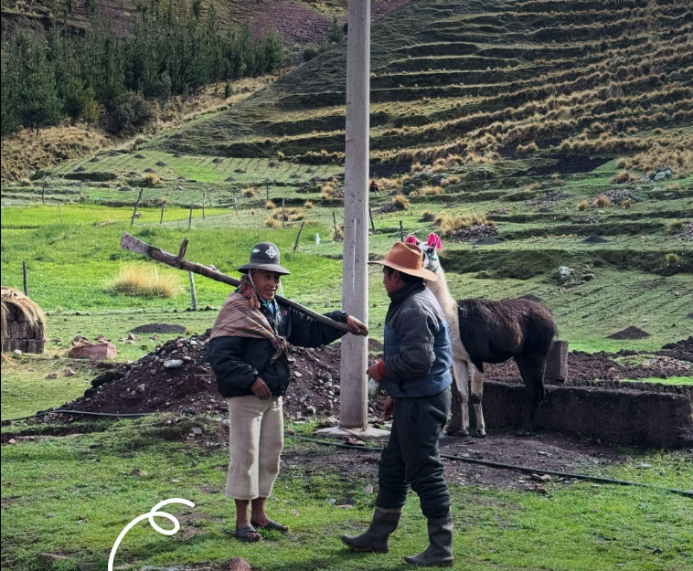 Agricultura sostenible y seguridad alimentaria