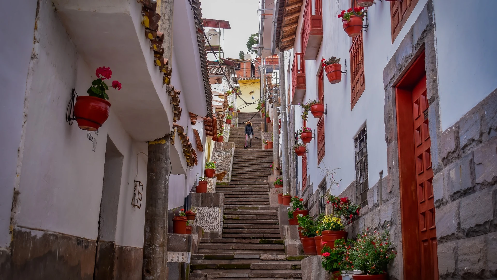 Tour of Sapantiana Colonial Aqueduct, Borreguitos Street, and Hilario Mendivil Museum - XTravel Perú