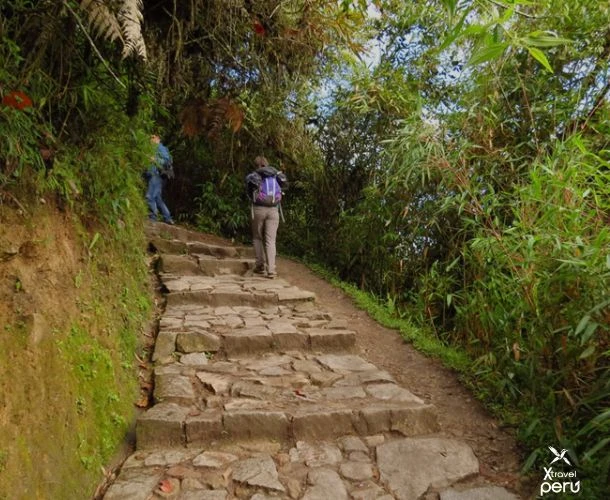 Hike among mountains, lagoons, and Inca ruins on a short, magical, and enchanting route.