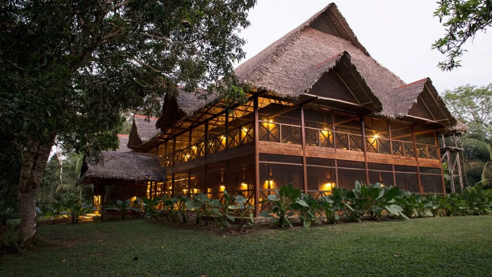 Tour Mayantuyacu Río Hirviente – Nature, Energy and Amazon Wisdom - XTravel Perú