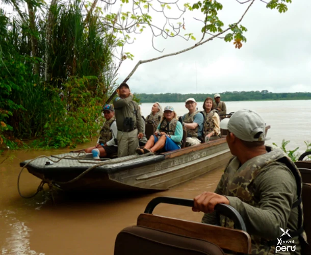 Enter the heart of the jungle with an exciting motorboat ride. Sail on the Alto Madre de Dios, surrounded by lush landscapes, searching for birds and riverside fauna.