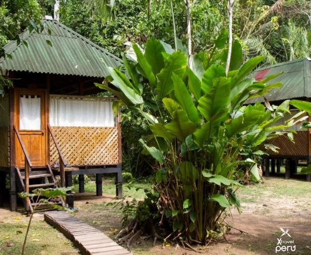 Settle into Dorado Lodge, your comfortable refuge in the Cloud Forest. Rustic cabins that allow you to rest surrounded by the flora and fauna of the transition jungle.