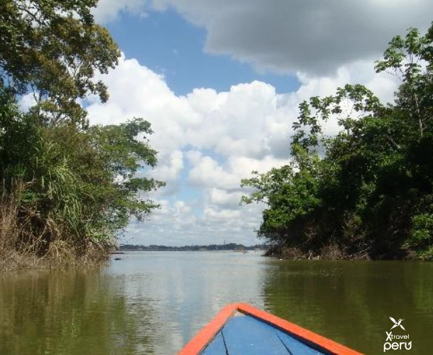 Explore the Amazonian tributaries in a traditional canoe. Witness daily life and local transportation, surrounded by the dense and lush vegetation of the Ucayali jungle.