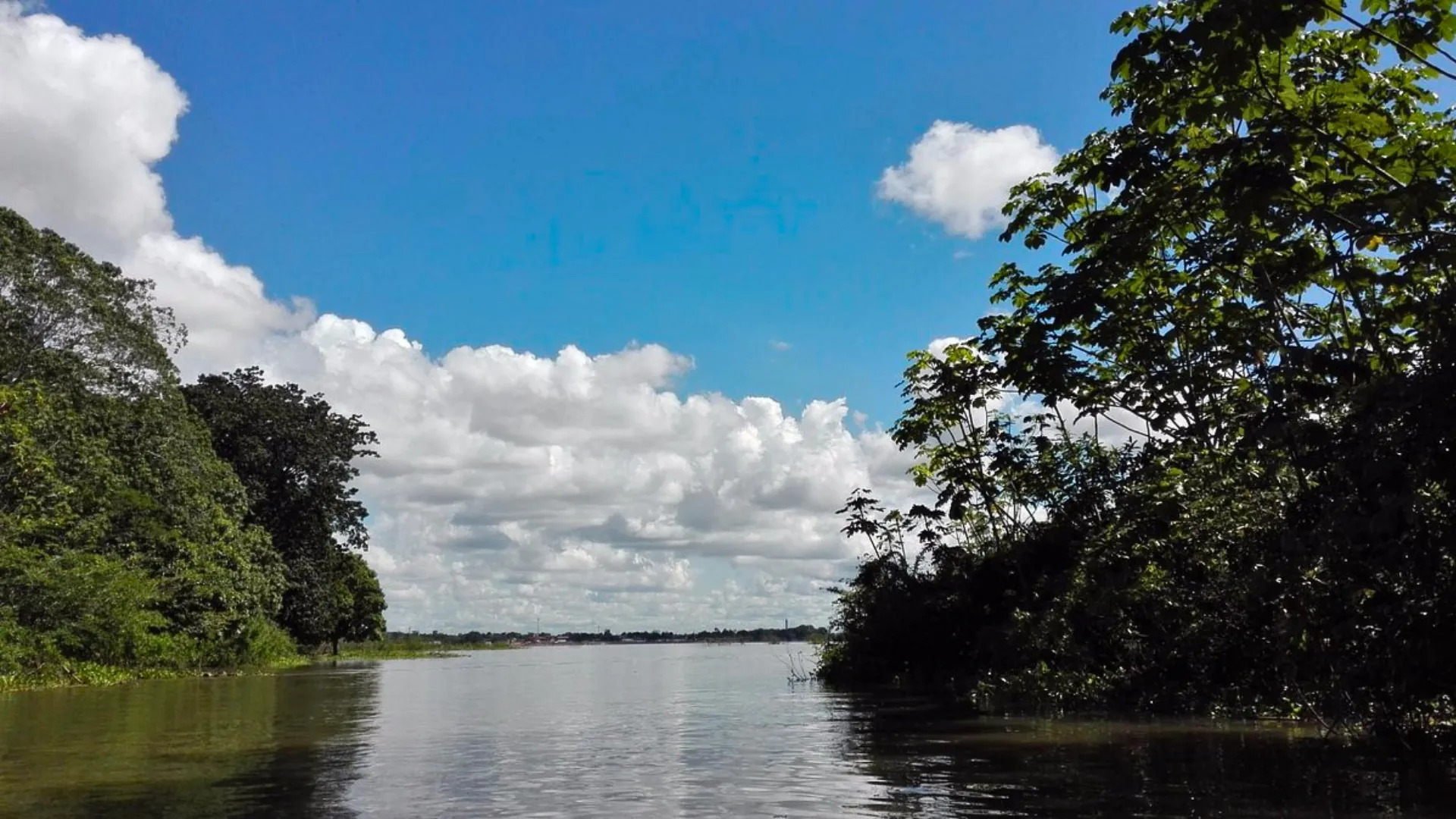Tour Mayantuyacu Río Hirviente – Naturaleza, Energía y Sabiduría Amazónica - XTravel Perú