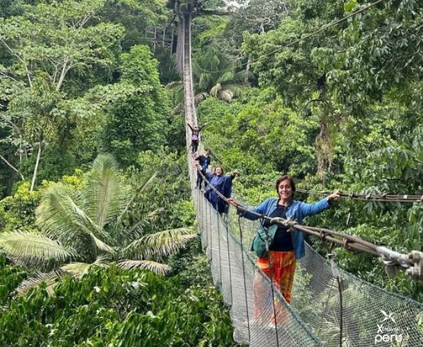 Feel the adrenaline rushing through the hanging bridges and zip lines. Enjoy a unique perspective of the jungle from the treetops, observing life from above.