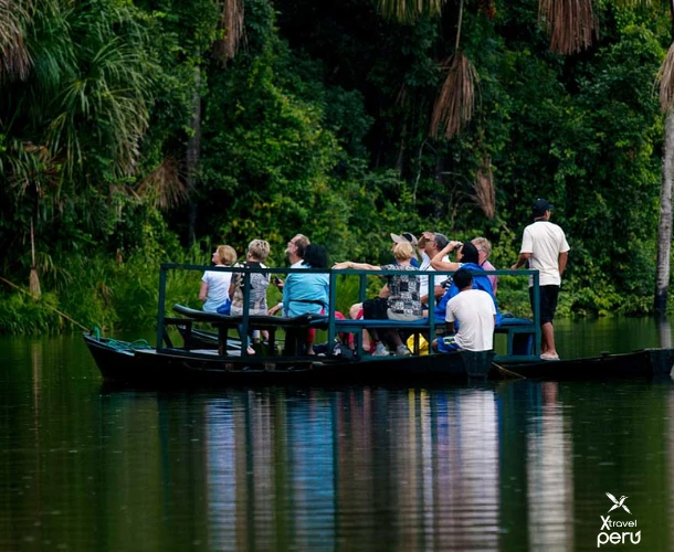 Sandoval Lake, a mirror of life. Observe playful giant river otters and aquatic bird families in their natural habitat during your navigation.