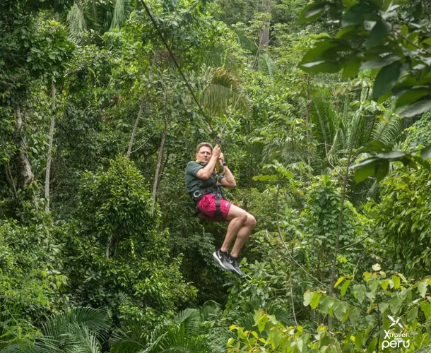 Experience the adrenaline walking on hanging bridges in the canopy. Observe the immensity of the Tambopata jungle from above, the best spot to see toucans and arboreal fauna.