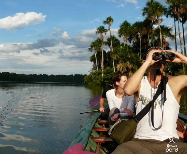 Begin your adventure by boat on the majestic Madre de Dios River. Enjoy the riverside vegetation and spot aquatic birds and capybaras on your way to the Eco Lodge.