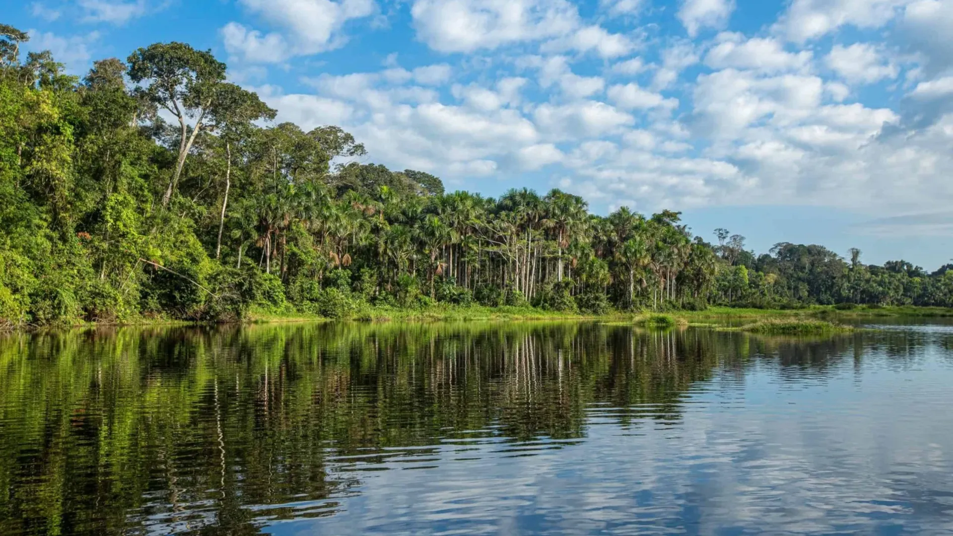 Tour Mayantuyacu Boiling River – Nature, Energy and Amazonian Wisdom - XTravel Perú