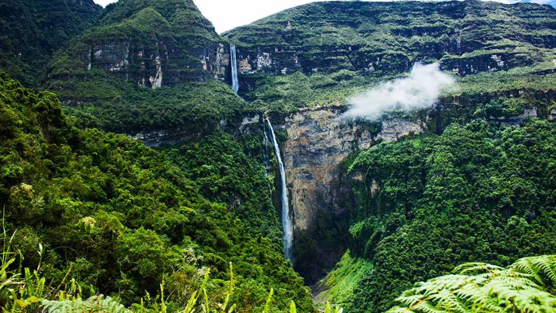 Tour Mayantuyacu Río Hirviente – Naturaleza, Energía y Sabiduría Amazónica - XTravel Perú