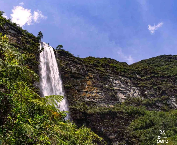 Hike through dense vegetation to reach the majestic Gocta Waterfall, one of the world's tallest cascades (771m). Enjoy the flora and fauna, including the Cock-of-the-Rock.