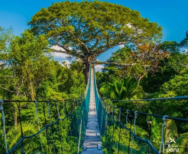 Conecta dos mundos extraordinarios: la selva exuberante y la joya inca en un recorrido diseñado para el viajero más exigente.