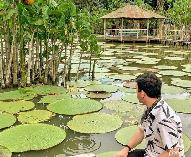 Admire the majesty of the Victoria Regia, the largest water lily in the world. A botanical marvel that is part of the rich flora you will see on this tour.
