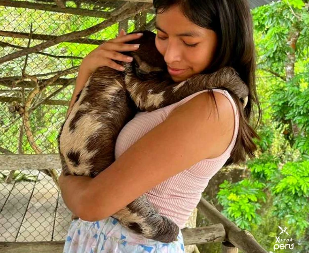 The Iquitos jungle is teeming with life. Get ready to spot monkeys, sloths, exotic birds, and the rich biodiversity that makes this part of the Amazon unique.