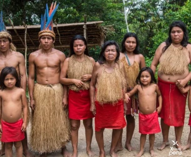 Immerse yourself in local culture with a visit to the Los Yaguas Native Community. Learn about their traditions, dances, and the use of the blowgun, a key component of the $4$-day tour.
