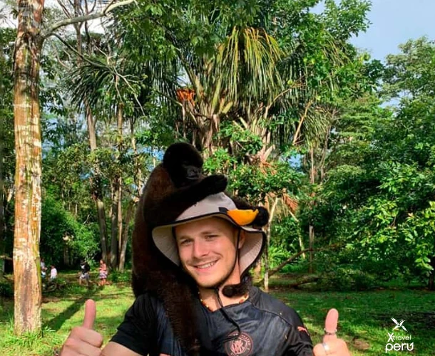 Isla Bonita is a sanctuary. Experience close interaction with friendly monkeys, such as the spider monkey, who will give you a warm welcome to the Amazon.