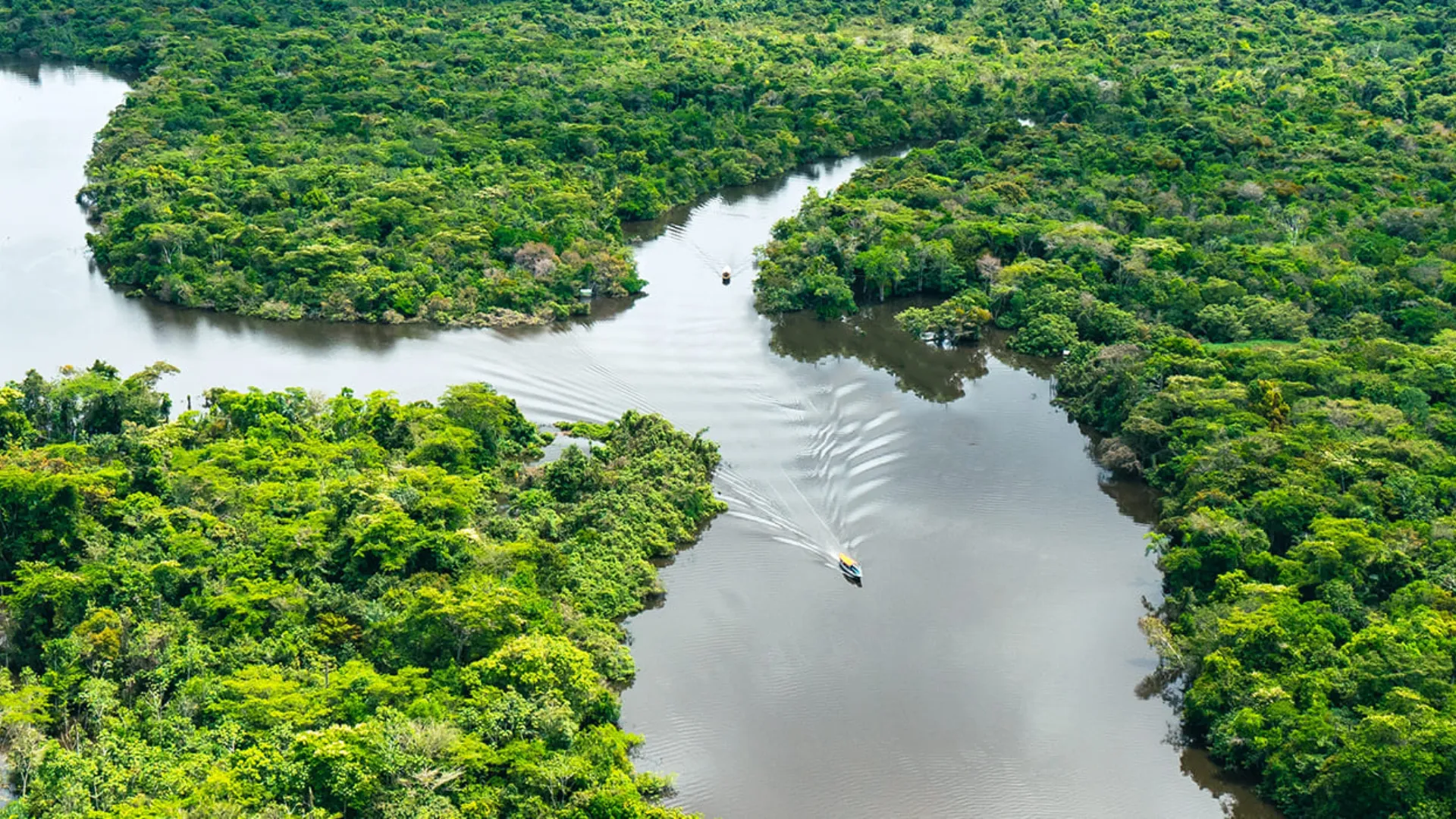 Manu 4D/3N Tour – Adventure in the Peruvian Amazon Rainforest - XTravel Perú