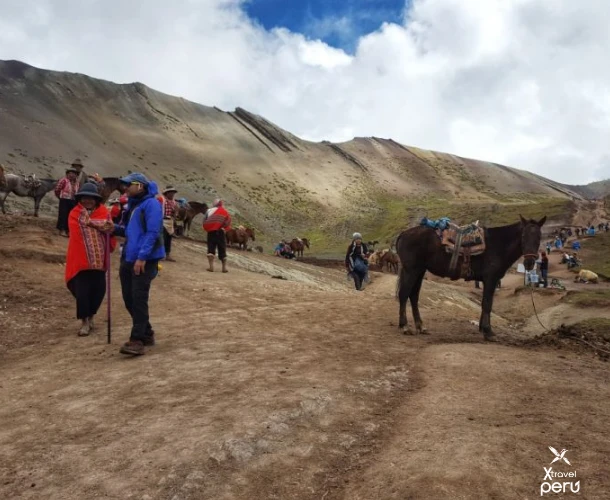 The quad bike leaves you ready for the final stretch on foot. Follow the trail alongside local fauna to reach the viewpoint. Every step brings you closer to the panoramic view of the iconic 7-Color Mountain.