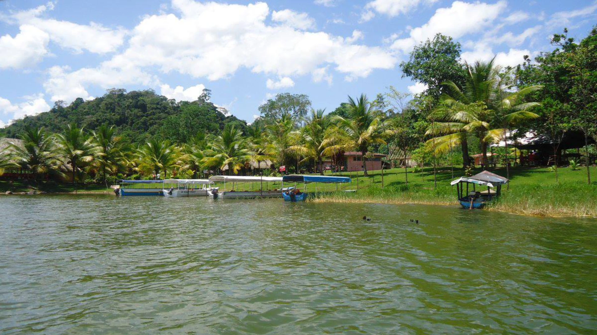 City Tour Tarapoto: Descubre lo Mejor de la Ciudad y sus Encantos Naturales - XTravel Perú